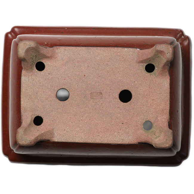 Rechteckiger roter Bonsaitopf von Seizan (Reihou, Kataoka Katsushi, Meister Seizan-Ofen) – 250 x 183 x 98 mm