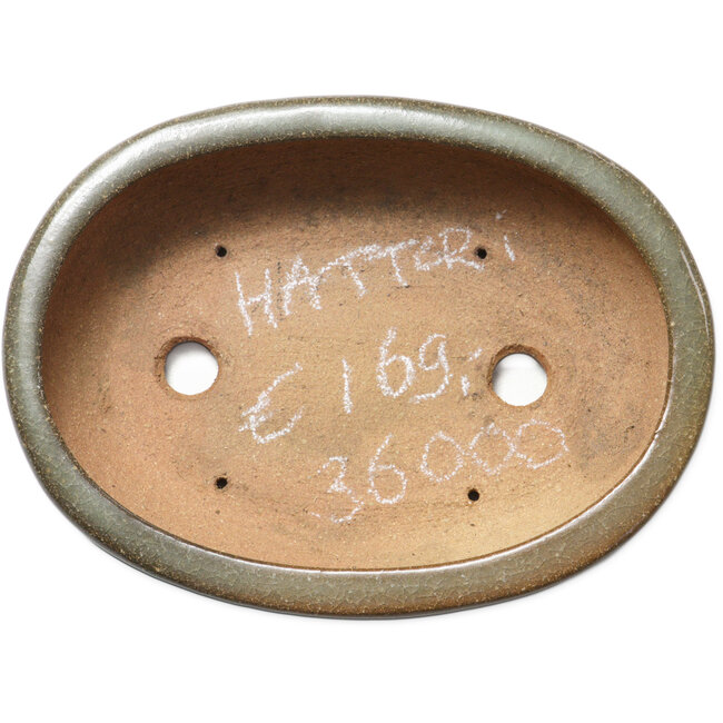 Ovaler, braun-weißer Bonsai-Topf mit Craquelé-Muster von Hattori – 225 x 170 x 50 mm