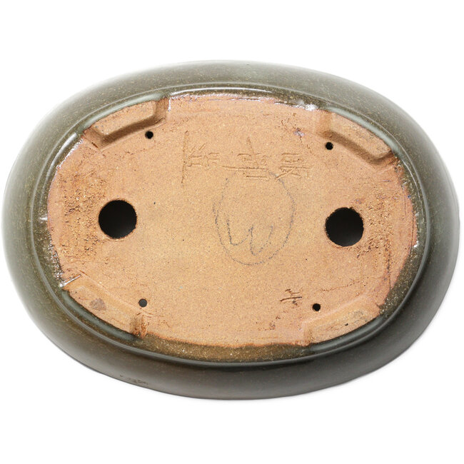 Maceta ovalada para bonsái craquelada en marrón y blanco de Hattori - 225 x 170 x 50 mm