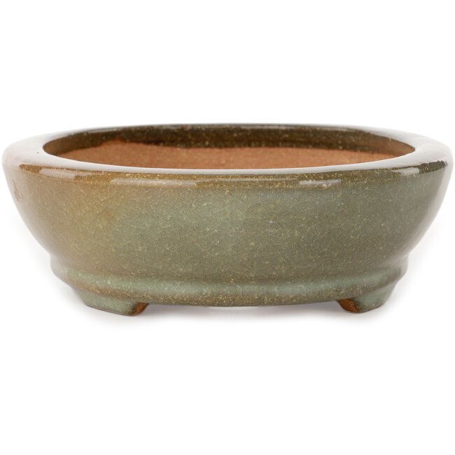Oval brown and white craquelé bonsai pot by Hattori - 225 x 170 x 50 mm