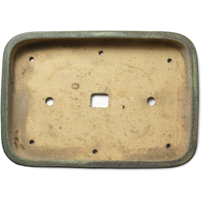 Rechthoekige groene bonsaipot van Hattori - 628 x 435 x 115 mm