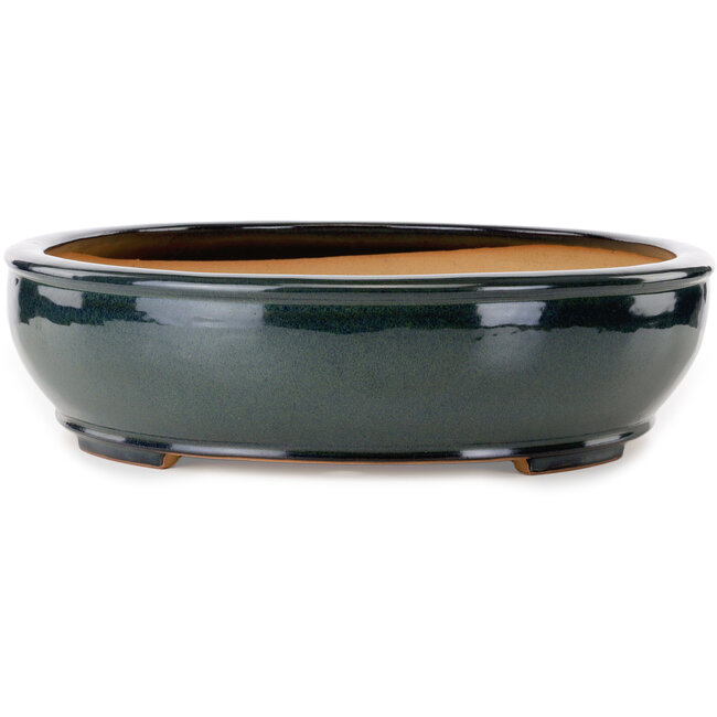 Pot à bonsaï ovale vert par Reihou (Bonsai Matsushita Hiroyuki ou Mr. Matsushita Reiji Master) - 564 x 455 x 105 mm