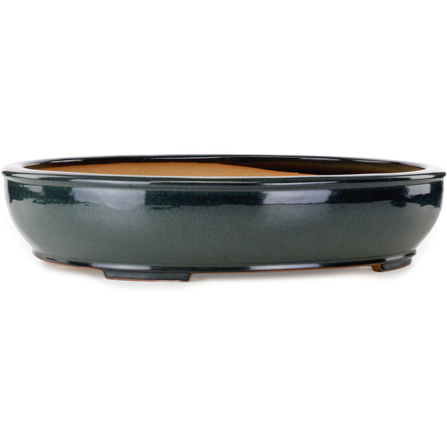 Oval green bonsai pot by Reihou (Bonsai Matsushita Hiroyuki or Mr. Matsushita Reiji Master) - 564 x 455 x 105 mm