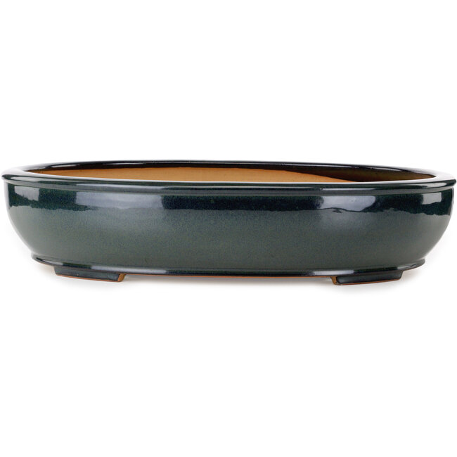 Oval green bonsai pot by Reihou (Bonsai Matsushita Hiroyuki or Mr. Matsushita Reiji Master) - 564 x 455 x 105 mm