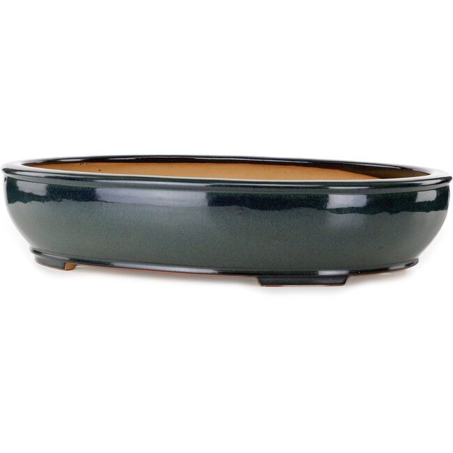 Oval green bonsai pot by Reihou (Bonsai Matsushita Hiroyuki or Mr. Matsushita Reiji Master) - 564 x 455 x 105 mm