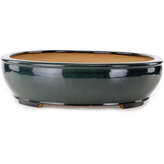 Oval green bonsai pot by Reihou (Bonsai Matsushita Hiroyuki or Mr. Matsushita Reiji Master) - 564 x 455 x 105 mm