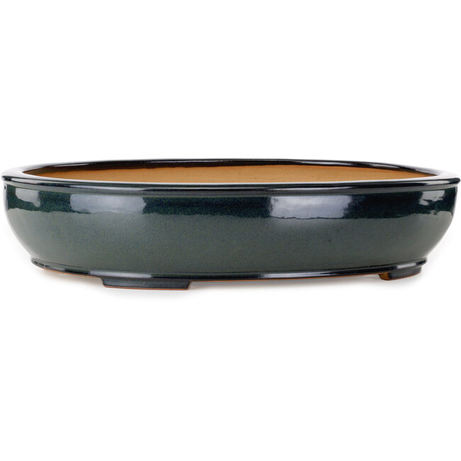Pot à bonsaï ovale vert par Reihou (Bonsai Matsushita Hiroyuki ou Mr. Matsushita Reiji Master) - 564 x 455 x 105 mm