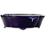 Mokko blue bonsai pot by Terahata Satomi Mazan - 535 x 460 x 160 mm