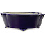 Mokko blue bonsai pot by Terahata Satomi Mazan - 535 x 460 x 160 mm