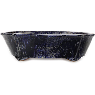  Shuuhou (Hidemi Kataoka) 536 mm mokko blue and beige bonsai pot by Shuhou, Tokoname, Japan