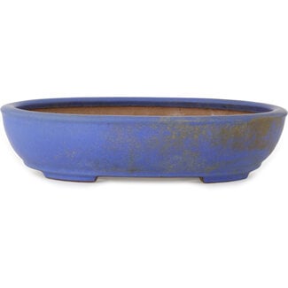 Seizan (Reihou, Kataoka Katsushi, master Seizan kiln) Pot à bonsaï ovale bleu de 385 mm par Seizan (Reihou, Kataoka Katsushi, maître four Seizan), Tokoname, Japon