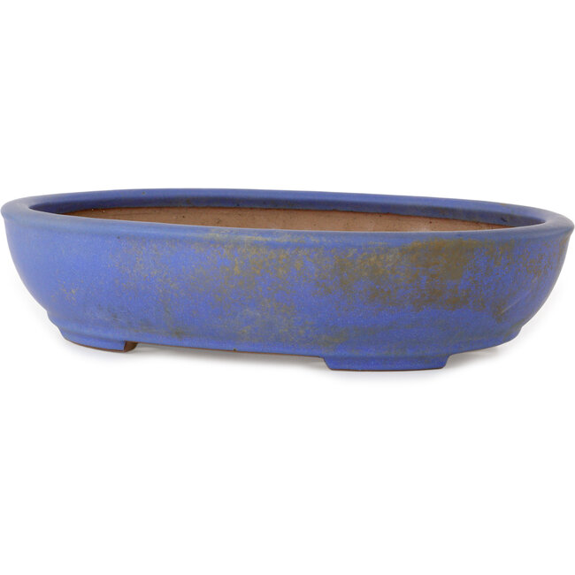 Maceta ovalada para bonsái azul de Seizan (Reihou, Kataoka Katsushi, maestro del horno Seizan) - 385 x 297 x 88 mm