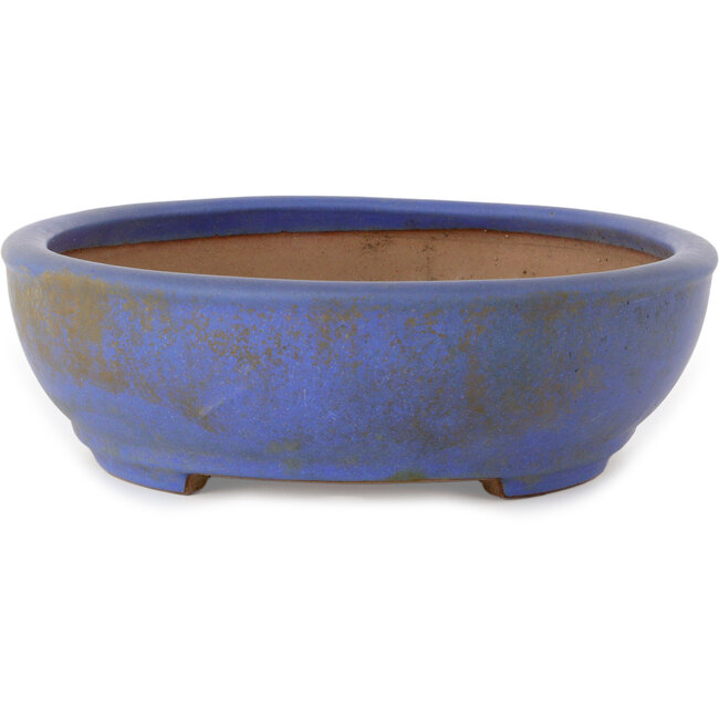 Ovaler blauer Bonsaitopf von Seizan (Reihou, Kataoka Katsushi, Meister Seizan-Ofen) – 385 x 297 x 88 mm