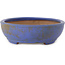 Maceta ovalada para bonsái azul de Seizan (Reihou, Kataoka Katsushi, maestro del horno Seizan) - 385 x 297 x 88 mm