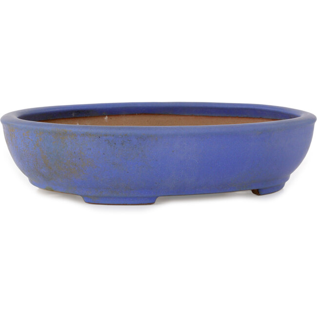 Ovaler blauer Bonsaitopf von Seizan (Reihou, Kataoka Katsushi, Meister Seizan-Ofen) – 385 x 297 x 88 mm