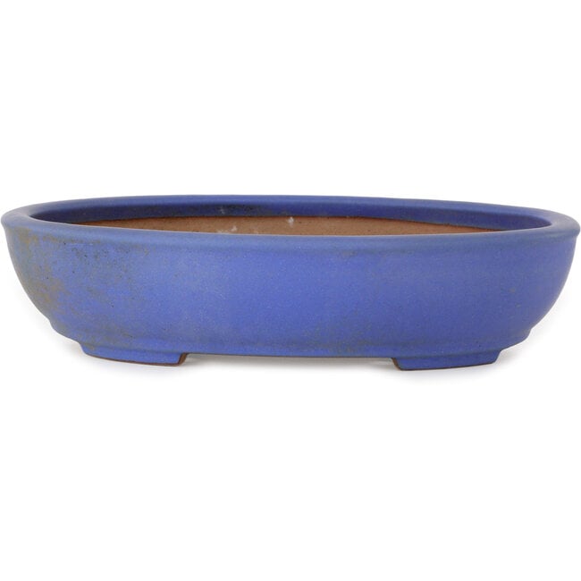 Ovaler blauer Bonsaitopf von Seizan (Reihou, Kataoka Katsushi, Meister Seizan-Ofen) – 385 x 297 x 88 mm