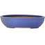 Ovaler blauer Bonsaitopf von Seizan (Reihou, Kataoka Katsushi, Meister Seizan-Ofen) – 385 x 297 x 88 mm