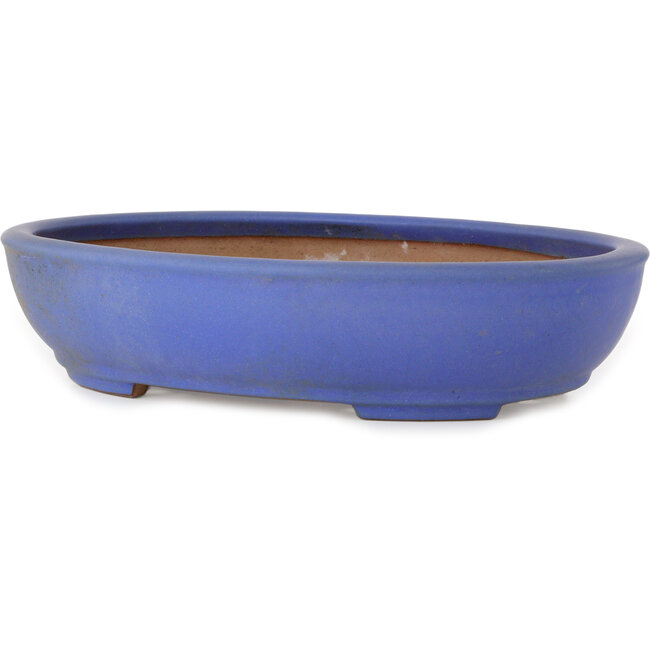 Oval blue bonsai pot by Seizan (Reihou, Kataoka Katsushi, master Seizan kiln) - 385 x 297 x 88 mm