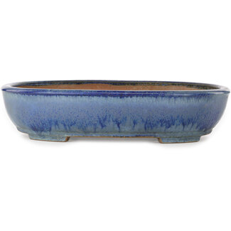  Yamafusa - Takehiko Koie Vaso bonsai ovale blu da 412 mm di Yamafusa, Tokoname, Giappone