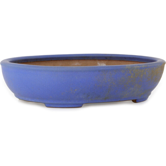 Vaso bonsai ovale blu di Seizan (Reihou, Kataoka Katsushi, forno del maestro Seizan) - 385 x 297 x 88 mm