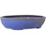 Oval blue bonsai pot by Seizan (Reihou, Kataoka Katsushi, master Seizan kiln) - 385 x 297 x 88 mm