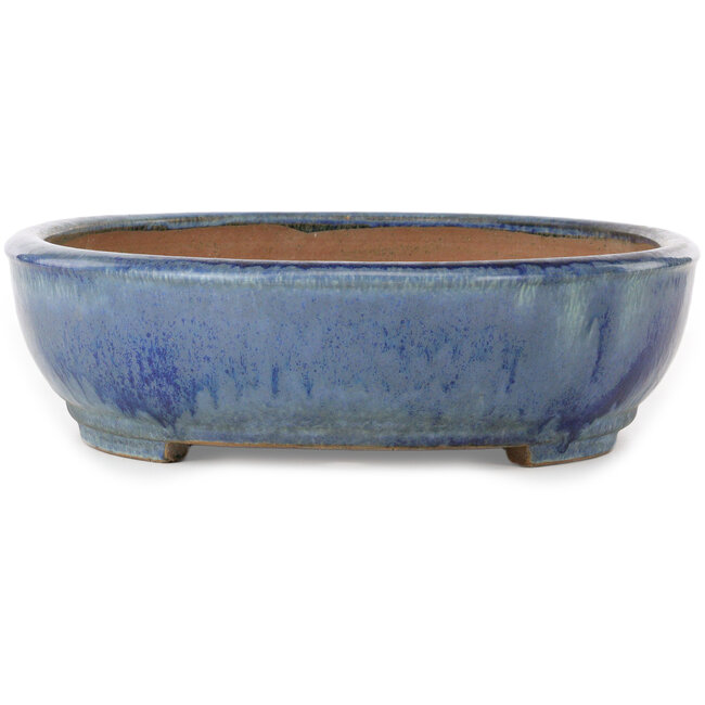 Vaso bonsai ovale blu di Yamafusa - 412 x 323 x 88 mm