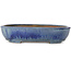 Ovale blauwe bonsaipot van Yamafusa - 412 x 323 x 88 mm