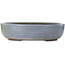 Pot à bonsaï ovale bleu de Yamaaki Toshio (troisième génération) - 473 x 405 x 120 mm