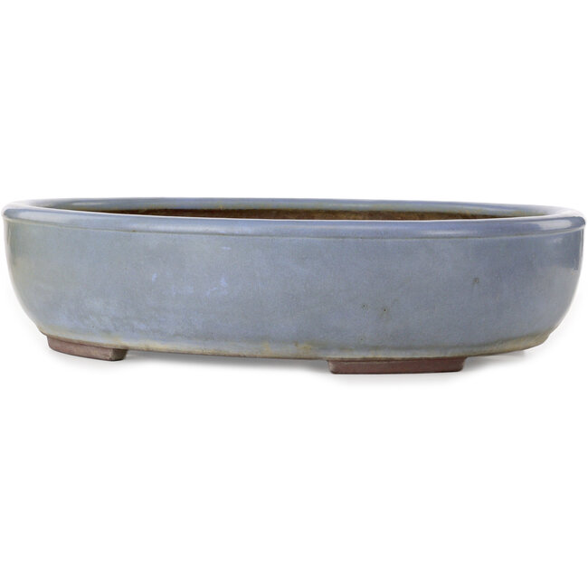 Vaso bonsai ovale blu di Yamaaki Toshio (terza generazione) - 473 x 405 x 120 mm