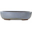 Vaso bonsai ovale blu di Yamaaki Toshio (terza generazione) - 473 x 405 x 120 mm