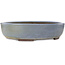 Vaso bonsai ovale blu di Yamaaki Toshio (terza generazione) - 473 x 405 x 120 mm