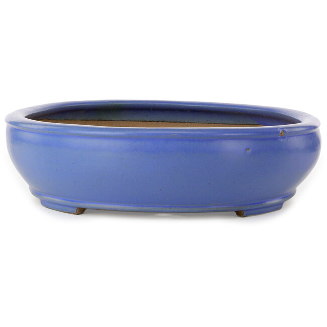 Oval blue bonsai pot by Seizan (Reihou, Kataoka Katsushi, master Seizan kiln) - 500 x 410 x 110 mm