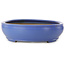 Vaso bonsai ovale blu di Seizan (Reihou, Kataoka Katsushi, forno del maestro Seizan) - 500 x 410 x 110 mm