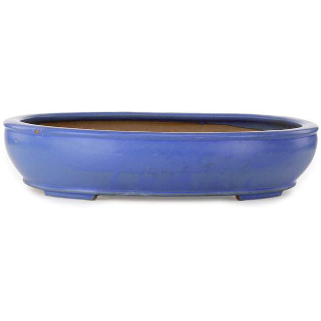 Ovale blauwe bonsaipot van Seizan (Reihou, Kataoka Katsushi, meester Seizan oven) - 500 x 410 x 110 mm