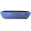 Ovaler blauer Bonsaitopf von Seizan (Reihou, Kataoka Katsushi, Meister Seizan-Ofen) – 500 x 410 x 110 mm