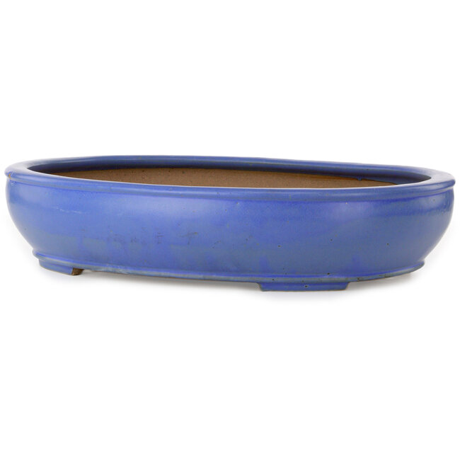 Oval blue bonsai pot by Seizan (Reihou, Kataoka Katsushi, master Seizan kiln) - 500 x 410 x 110 mm