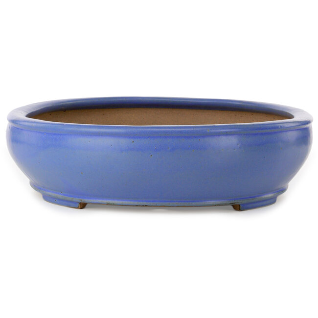 Ovaler blauer Bonsaitopf von Seizan (Reihou, Kataoka Katsushi, Meister Seizan-Ofen) – 500 x 410 x 110 mm