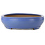 Vaso bonsai ovale blu di Seizan (Reihou, Kataoka Katsushi, forno del maestro Seizan) - 500 x 410 x 110 mm