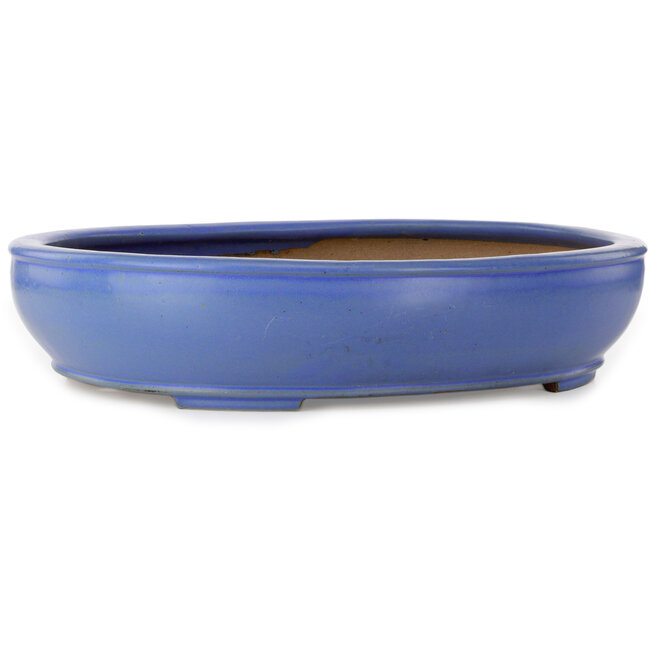 Pot à bonsaï ovale bleu par Seizan (Reihou, Kataoka Katsushi, maître four Seizan) - 500 x 410 x 110 mm