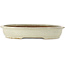 Pot ovale beige pour bonsaï - 473 x 372 x 80 mm