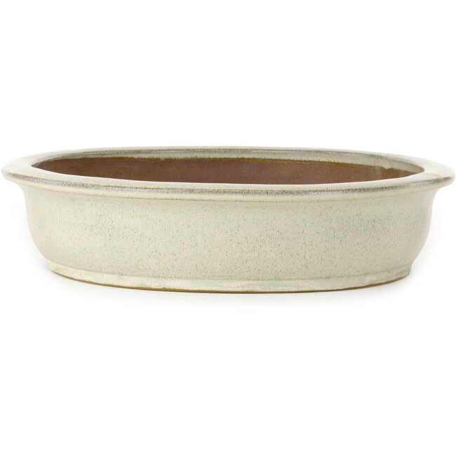 Oval beige bonsai pot - 473 x 372 x 80 mm