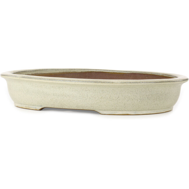 Maceta ovalada beige para bonsái - 473 x 372 x 80 mm