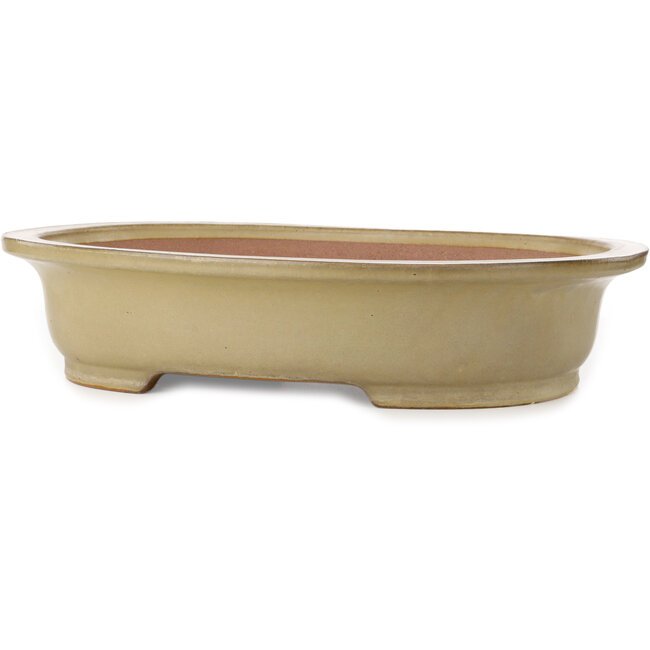 Maceta ovalada para bonsái beige de Seizan (Reihou, Kataoka Katsushi, maestro del horno Seizan) - 520 x 422 x 115 mm