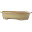 Oval beige bonsai pot by Seizan (Reihou, Kataoka Katsushi, master Seizan kiln) - 520 x 422 x 115 mm