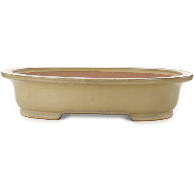Oval beige bonsai pot by Seizan (Reihou, Kataoka Katsushi, master Seizan kiln) - 520 x 422 x 115 mm