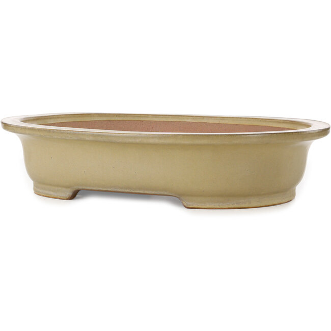 Ovaler beiger Bonsai-Topf von Seizan (Reihou, Kataoka Katsushi, Meister Seizan-Ofen) – 520 x 422 x 115 mm