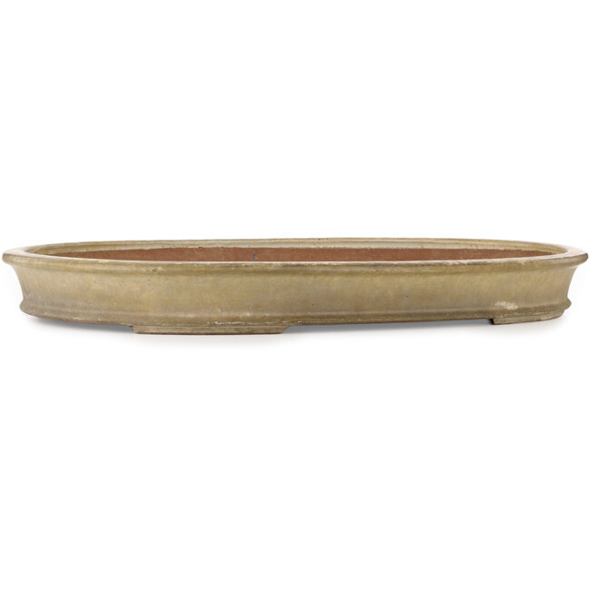 Oval beige bonsai pot by Shuhou - 732 x 483 x 80 mm