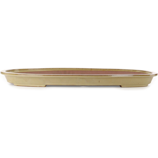 Oval beige bonsai pot by Seizan (Reihou, Kataoka Katsushi, master Seizan kiln) - 694 x 443 x 55 mm