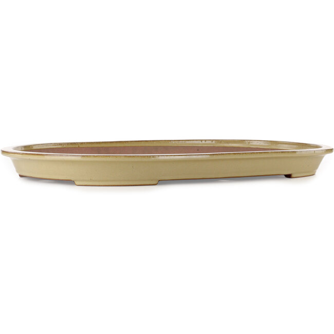 Oval beige bonsai pot by Seizan (Reihou, Kataoka Katsushi, master Seizan kiln) - 694 x 443 x 55 mm