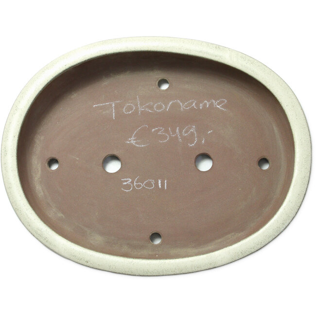 Ovale beige bonsaipot - 473 x 372 x 80 mm